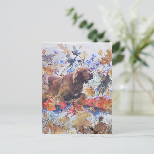 Carte Postale Chasse au Setter irlandais (Debout devant)