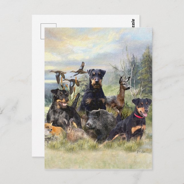 Carte Postale Chasse avec Jagdterriers, Art (Devant / Derrière)