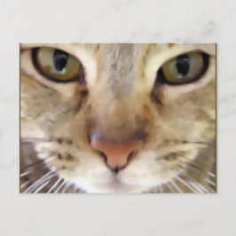Carte Postale Chasseur