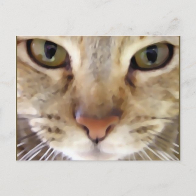 Carte Postale Chasseur (Devant)
