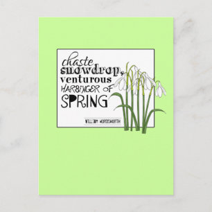 Carte Postale Chaste Snowdrop