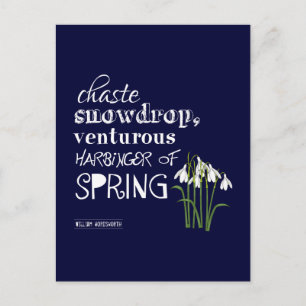Carte Postale Chaste Snowdrop, Venturous Harbinger du printemps