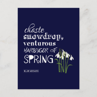 Carte Postale Chaste Snowdrop, Venturous Harbinger du printemps