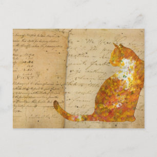 Carte Postale Chat