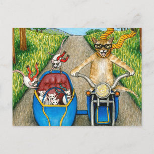 Carte Postale Chat 384