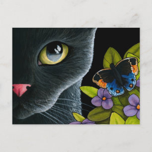 Carte Postale Chat 557