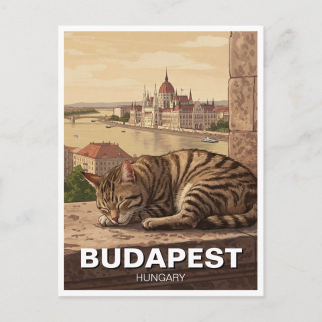 Carte Postale Chat à Budapest Hongrie Parlement Bâtiment Voyage (Devant)