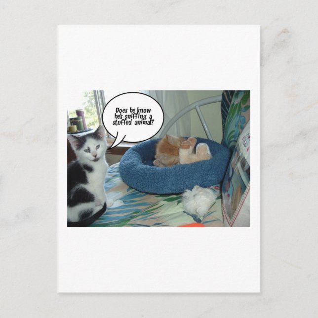 Carte Postale Chat à chat Tabby Orange (Devant)