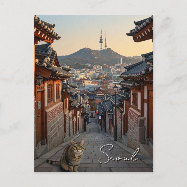 Carte Postale Chat à Séoul Bukchon Corée du Sud (Devant)