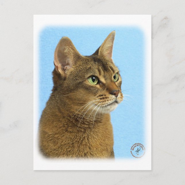 Carte Postale Chat abyssinien 9Y009D-032 (Devant)