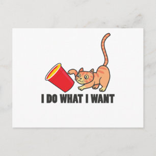 Carte Postale Chat Amusant Design Chats Cute Paw Animaux