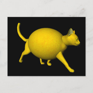 Carte Postale Chat au citron doux