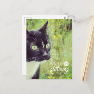 Carte Postale Chat aux Yeux Brillants