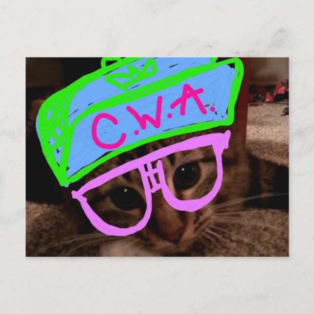 Carte Postale Chat avec attitude (Devant)