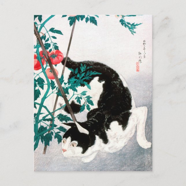 Carte Postale Chat avec Plante tomate (1931) par Hiroaki Takahas (Devant)