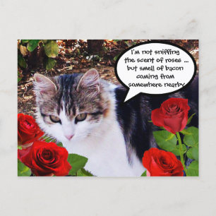 CARTE POSTALE CHAT AVEC ROSES ROUGES