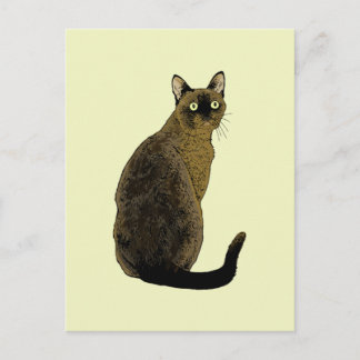 Carte Postale Chat birman