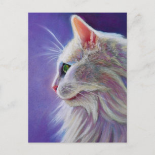 Carte Postale Chat blanc dans le profil