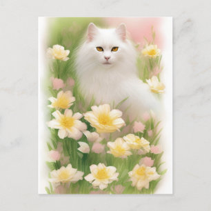 Carte Postale Chat blanc long