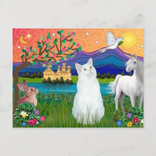 Carte Postale Chat Blanc - Pays Fantastique