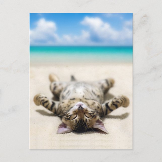Carte Postale Chat bronzage à la plage (Devant)
