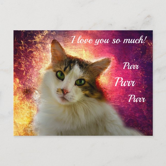 Carte Postale Chat calico adorable et mignon (Devant)