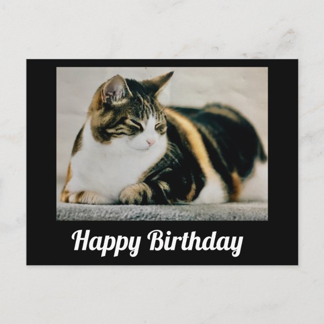 Carte Postale Chat calico endormi Joyeux Anniversaire (Devant)