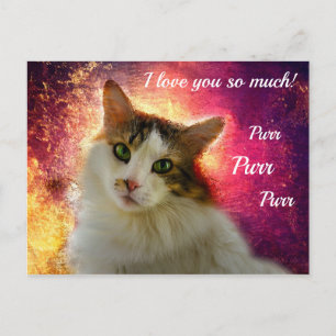 Carte Postale Chat Calico Mignon Adorable