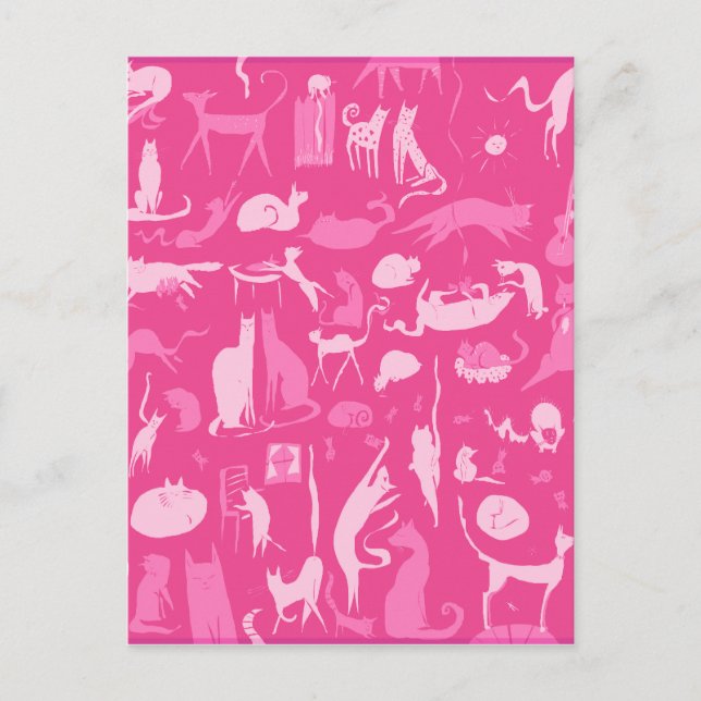 Carte Postale Chat! Chat! Chat! (Devant)