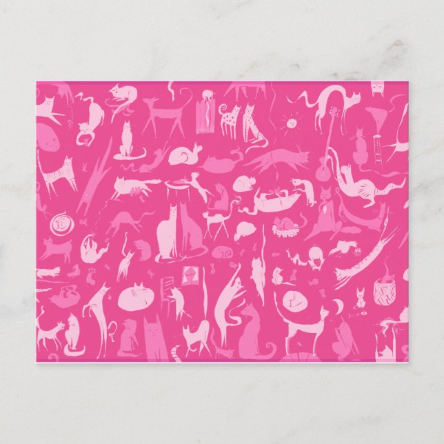 Carte Postale Chat! Chat! Chat! (Devant)