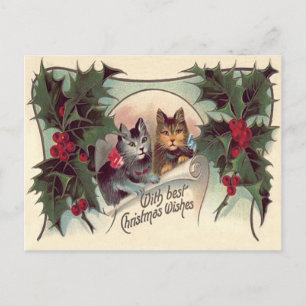 Carte Postale Chat Chaton Holly