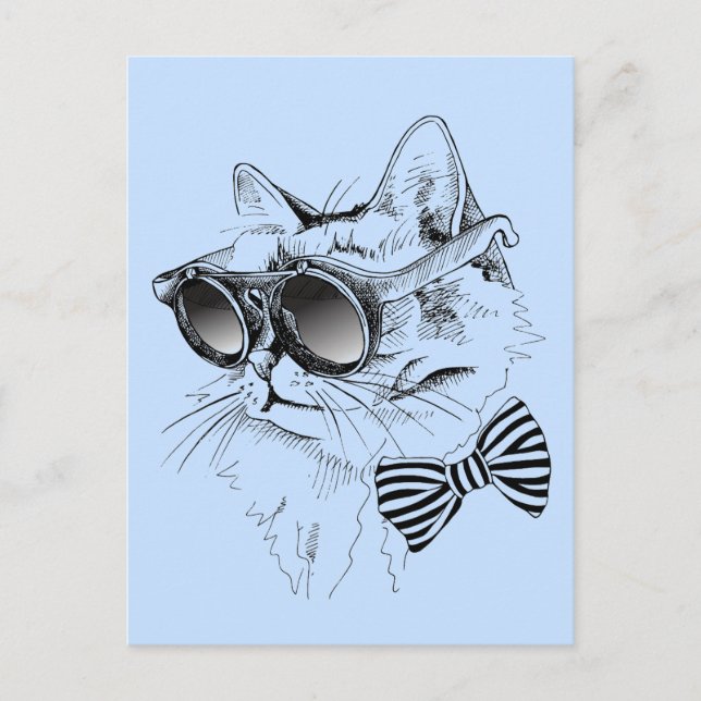 Carte Postale Chat cool (Devant)