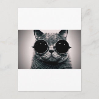 Carte Postale chat cool kat kool avec des ombres