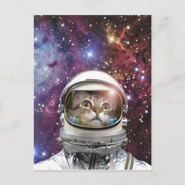 Carte Postale Chat Cosmonaut (Devant)