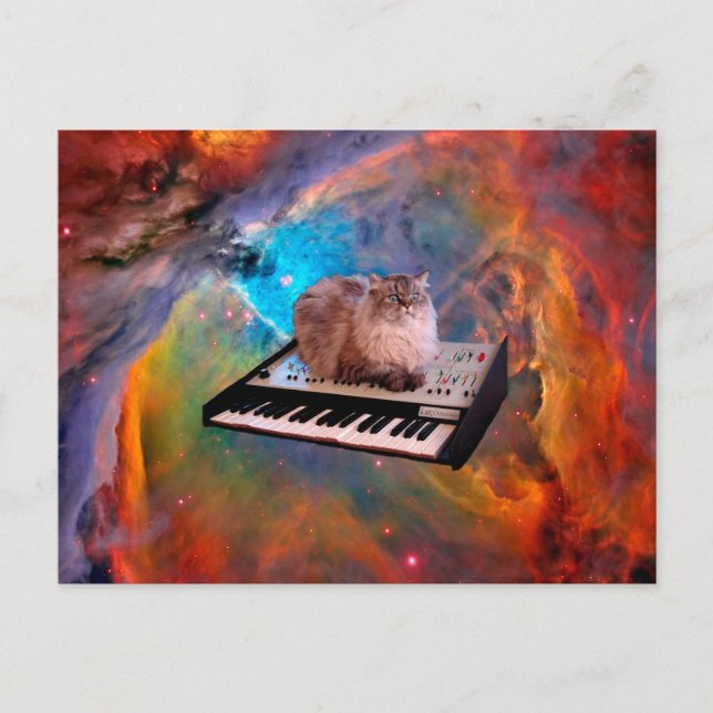 Carte Postale Chat couché sur un clavier dans l'espace (Devant)
