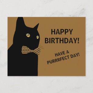 Carte Postale Chat d'Anniversaire Noir Joyeux avec une Cravate B