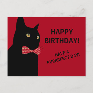 Carte Postale Chat d'Anniversaire Noir Joyeux avec une Cravate d