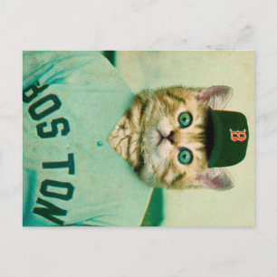 Carte Postale Chat de baseball