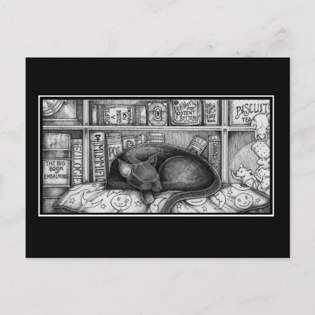 Carte Postale Chat de bibliothèque victorienne (Devant)