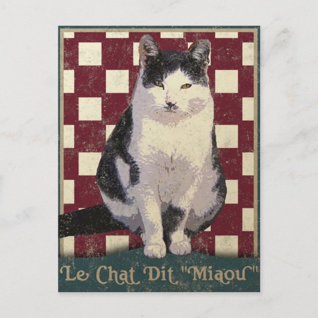 Carte Postale Chat de bistro vintage (Devant)