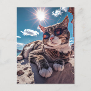 Carte Postale Chat de bord de mer portant des lunettes de soleil