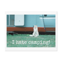 Chat de camping
