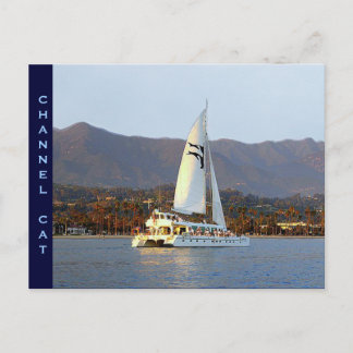 Carte Postale Chat de canal au coucher du soleil