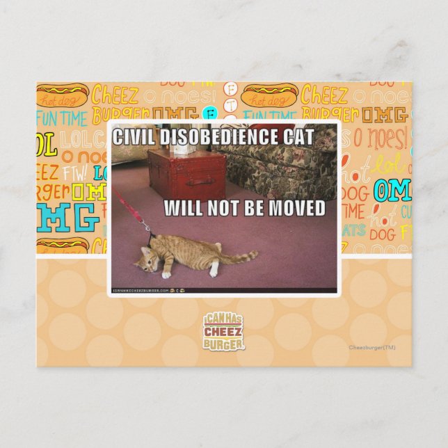 Carte Postale Chat de désobéissance civile (Devant)