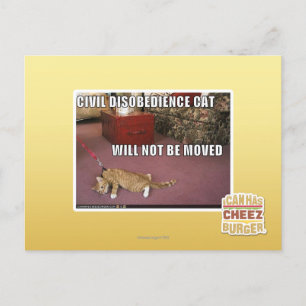 Carte Postale Chat de désobéissance civile