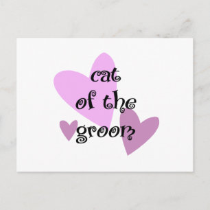 Carte Postale Chat de la chambre