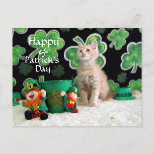 Carte Postale Chat de la Saint Patrick de Buffington / Kitten