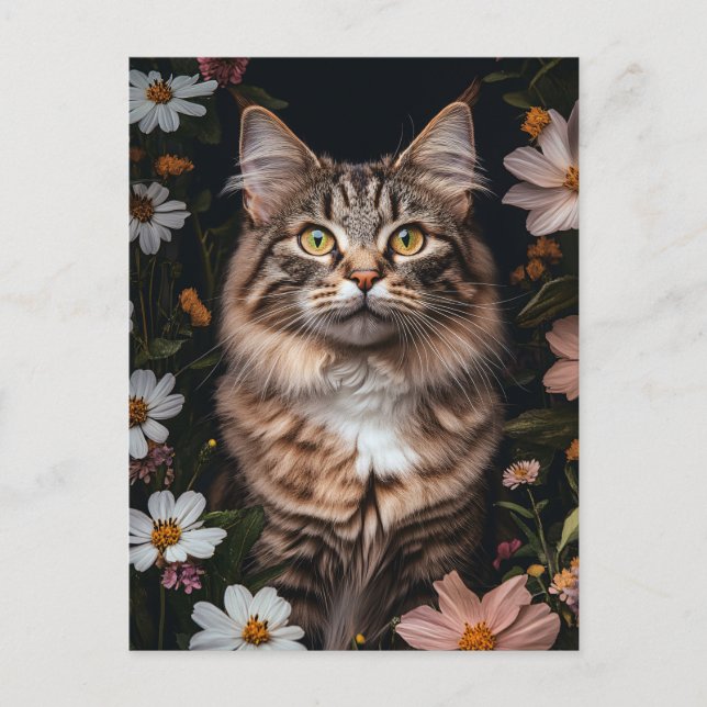 Carte Postale Chat de Maine Coon entouré de fleurs (Devant)