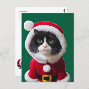 Carte Postale chat de Noël