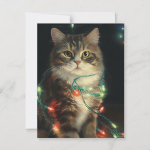 Carte Postale Chat de Noël